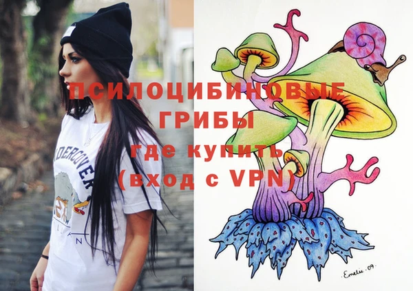 таблы Горняк
