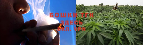 таблы Горняк