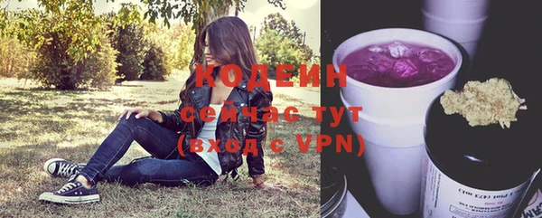 таблы Горняк
